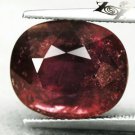 11.9 CT.Unheated Untreated Natural Oval 11*13.5 mm. Red Orange Tanga Sapphire