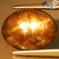 6.76 Ct.Natural Oval 10.5*13.5mm Strong 6 rays Star Banggaja Thai Black Sapphire