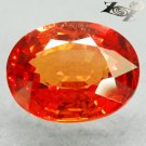 2.39 Ct.Firely Natural Oval 7*9 mm. Vivid Orange Tanga Mine Tanzania Sapphire