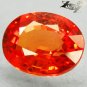 2.39 Ct.Firely Natural Oval 7*9 mm. Vivid Orange Tanga Mine Tanzania Sapphire