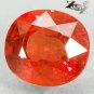 2.77 CT.Full Fire Natural Oval 7*8 mm. Vivid Hot Reddish Orange Tanga Sapphire