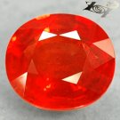 2.98 Ct.Firely Natural Oval 7.5*8.5 mm Exceptional Reddish Orange Tanga Sapphire