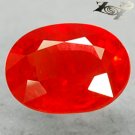 Top Grade Color Natural Oval 6*8 mm. Really Vivid Orangish Red Sapphire 1.92 Ct.