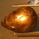 9.08 Ct.Rare Natural Pear 10*014.5 mm. Thai 6 Rays Star Black Sapphire Gemstones
