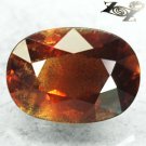 3.79 CT.Unheated Unusual Natural Oval 7.5*10.5 Schiller Honey Red Brown Sapphire