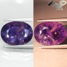 12.1 Ct.Unheated Natural Oval 12.5*17 Vivid Violet Purple Color Change Sapphire