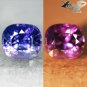 3.03 Ct.Full Fire Unheated Natural Cushion 7*8 Violet Blue Color Change Sapphire
