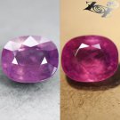 8.08 Ct.Unheated Natural Oval 10.5*12 Moderate Blue Violet Color Change Sapphire