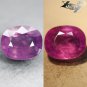 8.08 Ct.Unheated Natural Oval 10.5*12 Moderate Blue Violet Color Change Sapphire