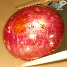 22.9 CT.Natural Oval 14.5*17.5 mm. 6 Rays Star Madagascar Magenta Red Ruby Gems