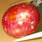22.9 CT.Natural Oval 14.5*17.5 mm. 6 Rays Star Madagascar Magenta Red Ruby Gems