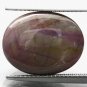 18.16 CT.Natural Oval 13.5*17 mm. 6 Rays Star Madagascar Red Ruby Corundum Gems