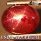 2.68 CT.Natural Oval 6*8 mm Strong 6 Rays Star Intense Juicy Red Madagascar Ruby