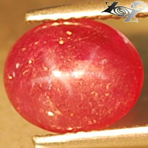 2.29 CT.Natural Oval 7.5*9 mm. 6 Rays Star Mogok Burma Magenta Red Ruby Gem