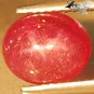 2.29 CT.Natural Oval 7.5*9 mm. 6 Rays Star Mogok Burma Magenta Red Ruby Gem