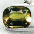 11.43 CT.Unheated Natural Cushion 11.5*14.5 mm. Intense Yellow Green Sapphire