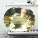 2.06 CT. Unheated Natural Oval 6.5*8 mm.Intense Kiwi Green Yellow Sapphire 黃色藍寶石