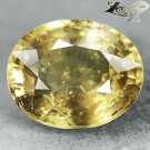 9.03 Ct.Firely Unheated Natural Oval 11*13 Intense Lime Yellow Tanga Sapphire