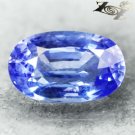 3.33 CT.VVS 1 Natural Oval 7*11.5 mm. Vivid Cornflower Purple Blue Tanzanite 坦桑