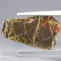 3.6CT.Natural Iridescence Extreme Play Rainbow Color 2 Side Dragon Skin Ammolite