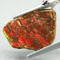 2.26 CT.Natural Iridescence Extreme Play Red Color Dragon Skin Ammolite Slab