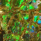 4.5 CT.Rare Natural Iridescence Play Green Blue Color Brown Canada Ammolite Slab
