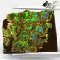 4.5 CT.Rare Natural Iridescence Play Green Blue Color Brown Canada Ammolite Slab