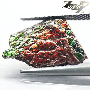 2 CT.Natural Play Red Green Blue Color Clear Dragon Skin 2 Side Ammolite Slab