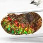 2.78 CT.Natural iridescence Extreme Play Green Red Color Dragon Skin Ammolite