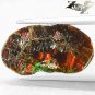 2.78 CT.Natural iridescence Extreme Play Green Red Color Dragon Skin Ammolite