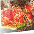 4.64CT.Natural Iridescence Play Red Color Whole Dragon Skin Canada Ammolite Slab