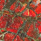 2.27 CT.Natural Iridescence Extreme Play Red Color Dragon Skin Canada Ammolite