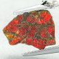 2.27 CT.Natural Iridescence Extreme Play Red Color Dragon Skin Canada Ammolite