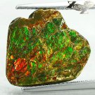 5.98 CT.Natural Iridescence Extreme Play Rainbow Color Dragon Skin Ammolite Slab