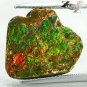 5.98 CT.Natural Iridescence Extreme Play Rainbow Color Dragon Skin Ammolite Slab