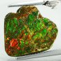 5.98 CT.Natural Iridescence Extreme Play Rainbow Color Dragon Skin Ammolite Slab