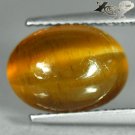 5.21 CT.Natural Oval 9*12mm Strong Cat's Eye Yellow Green Tanzania Apatite 貓眼磷灰石