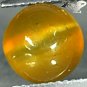 4.2 CT. Natural Round 9 mm. Strong Ca'ts Eye Tanzania Yellow Apatite 貓眼磷灰石 Gems