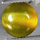 3.98 CT.Natural Oval 10 mm. Cat's Eye Effect Yellow Green Tanzania Apatite 貓眼磷灰石