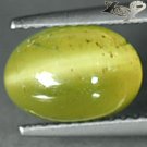 3.95 T.Natural Oval 7*10 mm Strong Cat's Eye Tanzania Yellow Green Apatite 貓眼磷灰石