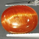 6.06 CT.Natural Oval 9*12 mm Strong Cat's Eye Green Brown Tanzania Apatite 貓眼磷灰石