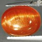6.06 CT.Natural Oval 9*12 mm Strong Cat's Eye Green Brown Tanzania Apatite 貓眼磷灰石