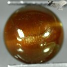 6.62 CT.Natural Round 10 mm. Cat's Eye Intense Honey Brown Tanzania Apatite Gems