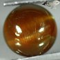 6.62 CT.Natural Round 10 mm. Cat's Eye Intense Honey Brown Tanzania Apatite Gems