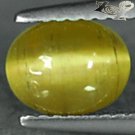 Natural Oval 6*8 mm. Strong Cat's Eye Effect Green Yellow Apatite 1.68 CT.貓眼磷灰石