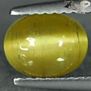 Natural Oval 6*8 mm. Strong Cat's Eye Effect Green Yellow Apatite 1.68 CT.&egrave;&sup2;�&ccedil;�&frac14;&ccedil;&pound;&middot;&ccedil;�&deg;&ccedil;�&sup3;