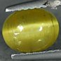 Natural Oval 6*8 mm. Strong Cat's Eye Effect Green Yellow Apatite 1.68 CT.&egrave;&sup2;�&ccedil;�&frac14;&ccedil;&pound;&middot;&ccedil;�&deg;&ccedil;�&sup3;