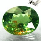 2.88 CT.Natural Oval 8*10 mm.Red Spark Intense Green Madagascar Apatite 綠色磷灰石