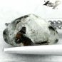 2.65CT.Natural Oval 8*10 mm.Spark Orange Plates Matrix Black Russia Astrophylite