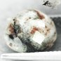 5.67 CT.Natural Round 10.5 mm Spark Orange Plates Zebra Skin Astrophylite 星葉石